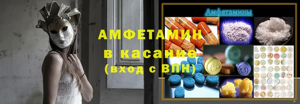 прущие грибы Алексин
