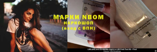 прущие грибы Алексин