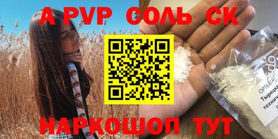 соль ск Камышлов