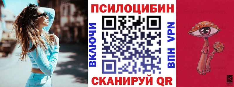 где купить   Курчалой  кракен ONION  Галлюциногенные грибы ЛСД 