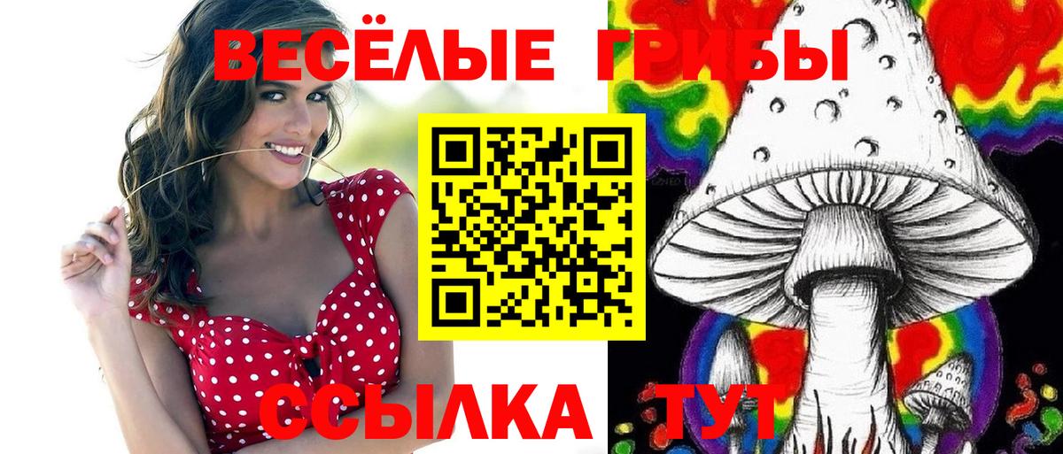 Псилоцибиновые грибы Cubensis  Вход с VPN  Курчалой 
